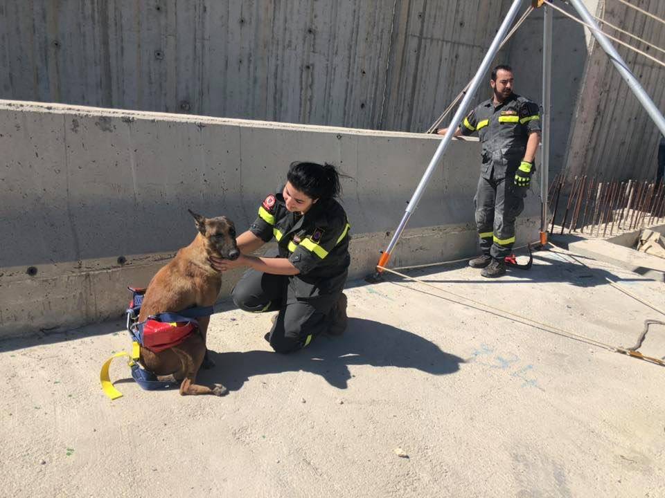 إنقاذ كلب محتجز تحت جسر قيد الانشاء
