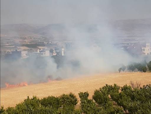 إخماد حريق في حقل قمح في سهل بيت شاما