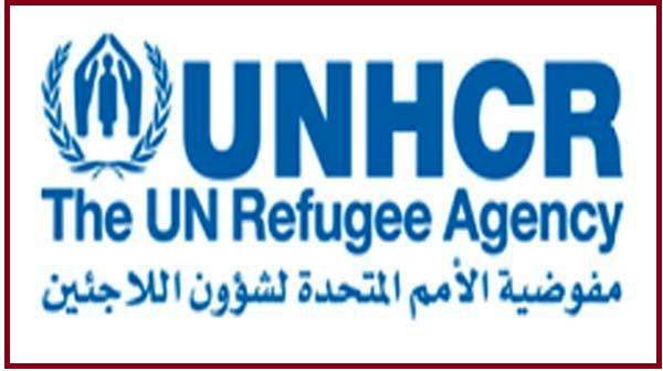 مفوضية الأمم المتحدة للاجئين: ندعم جهود الإغاثة والإنعاش في بيروت