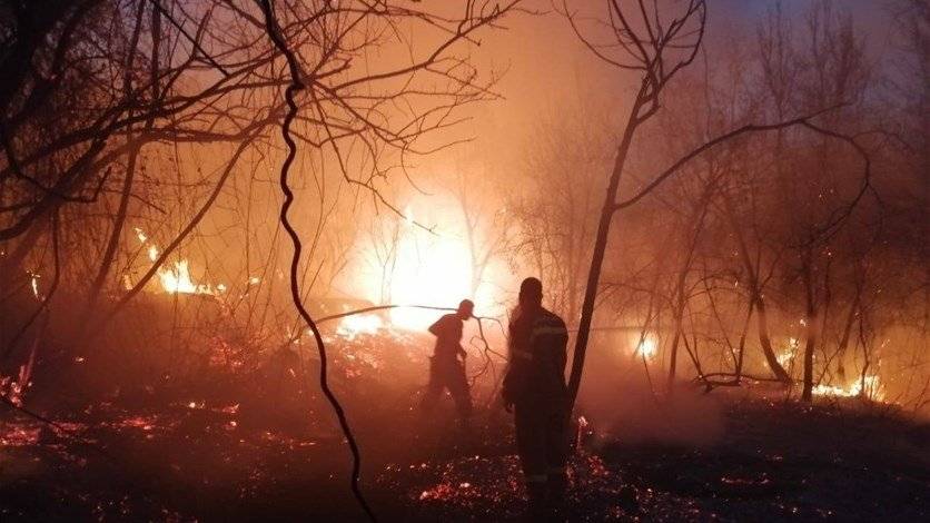 الدفاع المدني ينجح باخماد حريق أحراج الكنيسة