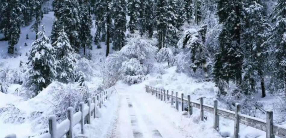 لبنان تحت تأثير منخفض جوي.. أمطار غزيرة وثلوج ‏