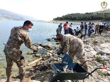 الجيش يشارك بإزالة آلاف الأسماك النافقة عن ضفة القرعون