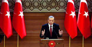 أردوغان: سنعمل على توطيد العلاقات مع الدول الخليجية
