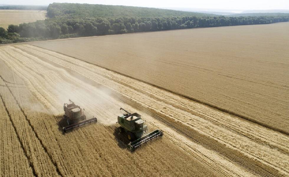 إرتفاع أسعار القمح يهدد العالم بالمجاعة