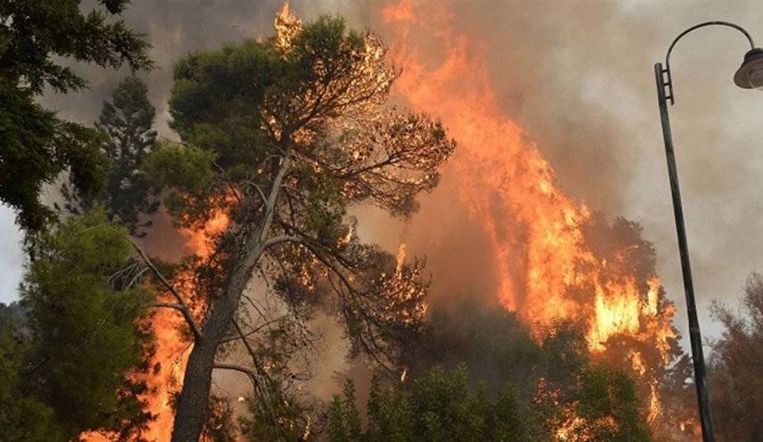 للسنة الثانية على التوالي.. النيران تلتهم الغابات في لبنان