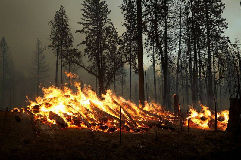 كاليفورنيا.. إجلاء الآلاف مع انتشار حريق غابات