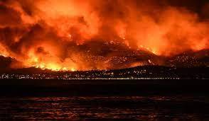 الجزائر.. السيطرة الكاملة على حرائق الغابات