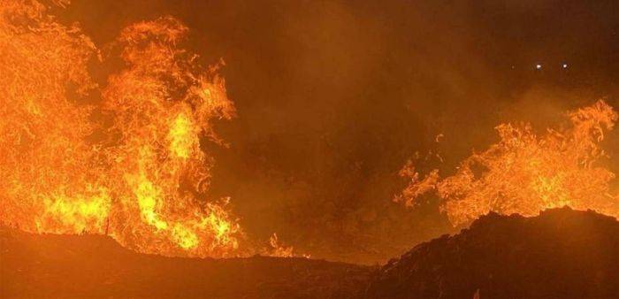 بالفيديو: النيران تحاصر أرز تنورين.. ومناشدات
