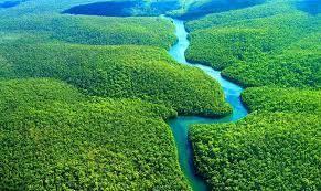 لولا دا سيلفا دعا الى إنشاء شرطة فدرالية لحماية غابات الأمازون