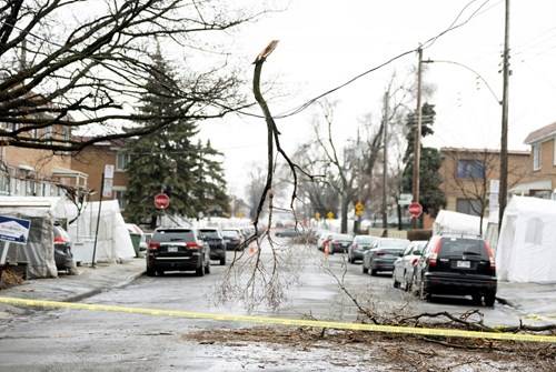 عاصفة ثلجية تقطع الكهرباء عن أكثر من مليون شخص في كندا