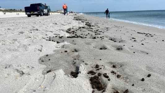 مخدرات على شاطئ فلوريدا
