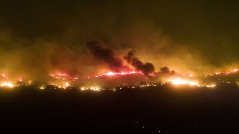 بالصور.. حرائق الغابات في اسطنبول تهدّد المباني السكنية