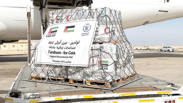 13260 طن مساعدات إماراتية إلى غزة خلال 53 يوماً