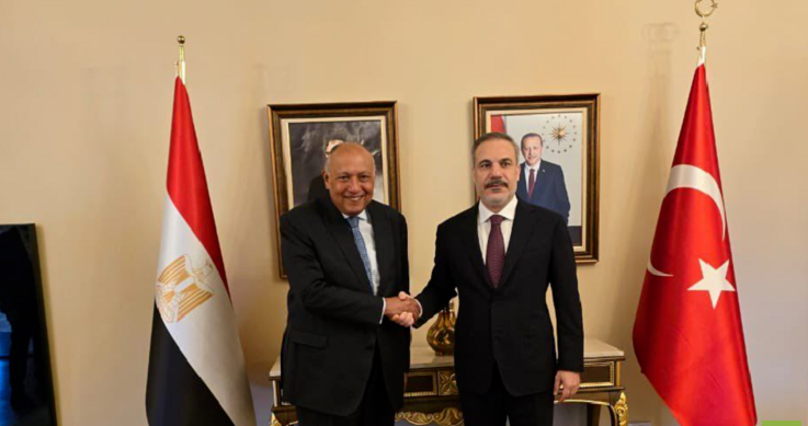 وزير الخارجية المصري يجري محادثات في تركيا