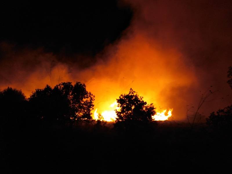 اندلاع حريق في خراج بينو
